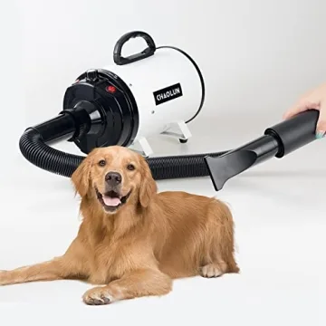 CHAOLUN Dog Grooming Dryer - Adjustable Speed and Heat