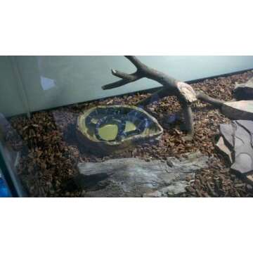 Exo Terra Water Dish - Premium Water Bowl for Reptiles, X-Large Size