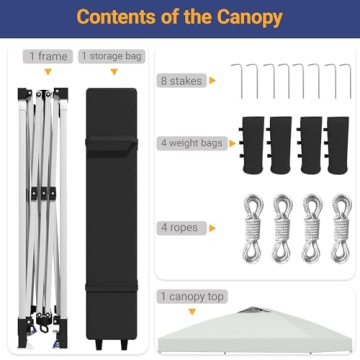 Favofamilie 10x10 Instant Canopy with Wheeled Bag