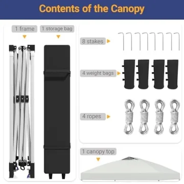 Favofamilie 10x10 Instant Canopy with Wheeled Bag