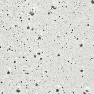 Paul Mitchell Super Strong Shampoo for Revitalized Hair