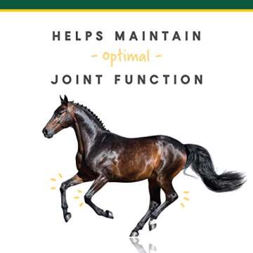 Corta-FLX Corta-Flex Equine Joint Supplement | Horse Supplement for Healthy Joints | Quick & Effective Nourishment to Joints formulated with Vitamins and Minerals | 12 LB Pellet