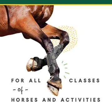 Corta-FLX Corta-Flex Equine Joint Supplement | Horse Supplement for Healthy Joints | Quick & Effective Nourishment to Joints formulated with Vitamins and Minerals | 12 LB Pellet