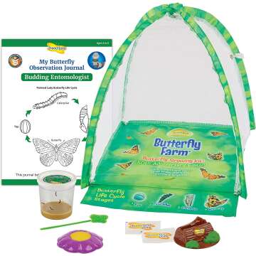 Live Butterfly Garden Kit for Kids - STEM Learning Fun