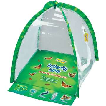 Live Butterfly Garden Kit for Kids - STEM Learning Fun