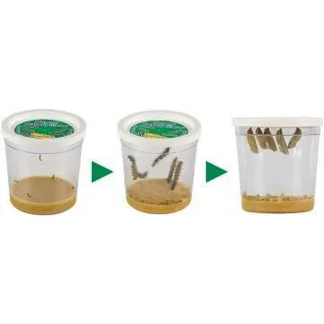 Live Butterfly Garden Kit for Kids - STEM Learning Fun