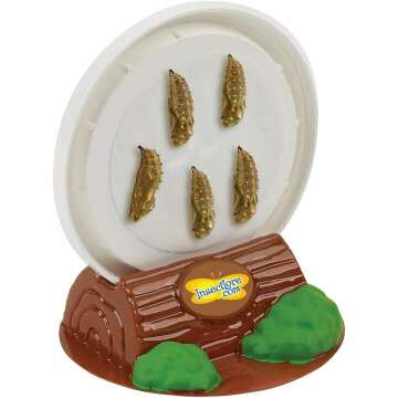 Live Butterfly Garden Kit for Kids - STEM Learning Fun