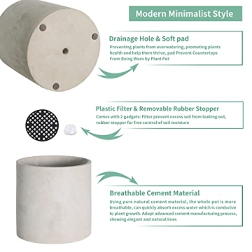 Modern Cement Plant Pots for Indoor & Outdoor Decor