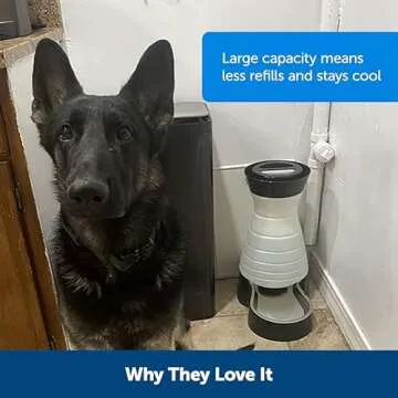 PetSafe Healthy Pet Water Station - Large, 320 oz Capacity - Gravity Pet Water Fountain, Automatic Cat Water Fountain or Dog Water Fountain - Water Dispenser - Removable Stainless Steel Bowl Included