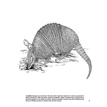 Small Animals of North America Coloring Book