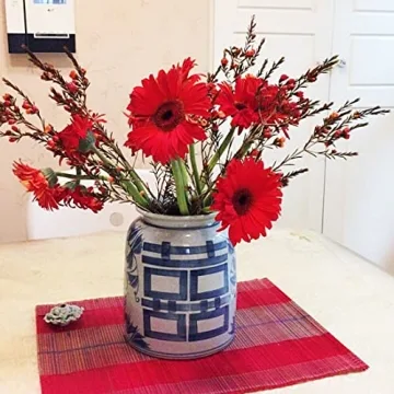 XIUWOUG Chinese Ginger Jar Chinoiserie Vase for Home