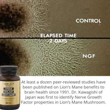 I Am Joy co. Ormus Shilajit Lion's Mane - Ultimate Brain Power! Monoatomic 24k Gold - The Only Blend of Its Kind for Energy, Memory, & Focus - 60 Vegan Capsules in Eco Friendly Glass