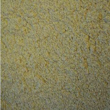 Oxbow Critical Care for Herbivores – 100g Papaya Flavor