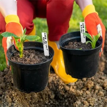 Dalzom Waterproof Plant Labels - 300Pcs for Gardening