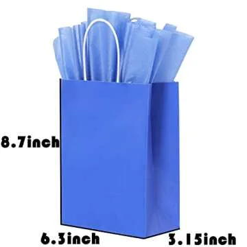 BLEWINDZ 64 Gift Bags & Tissues for Every Occassion