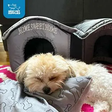Best Portable Indoor Pet House for Cats & Dogs