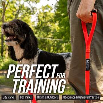Durable Leash Boss Free Range Long Dog Leash for Training