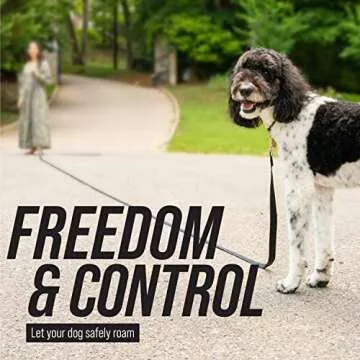 Durable Leash Boss Free Range Long Dog Leash for Training