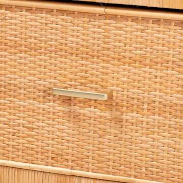 Bali Pari Modern Brown Rattan Mahogany Storage Cabinet