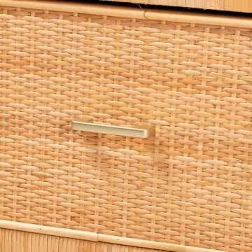 Bali Pari Modern Brown Rattan Mahogany Storage Cabinet