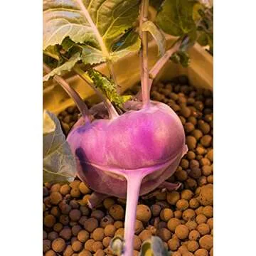 Mother Earth Products Mother Earth HGC714114 Hydroton Original Expanded Clay Pebbles, 25 Liter, Terra Cotta