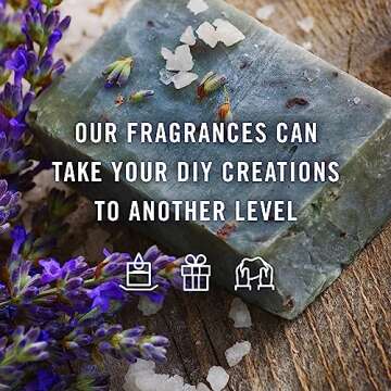 P&J Trading Fragrance Oil Favorite Set | Candle Scents for Candle Making, Freshie Scents, Soap Makin...