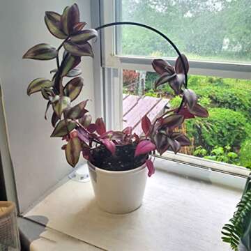 Levery 2 Pack Garden Trellis for Climbing Plants - Durable Support