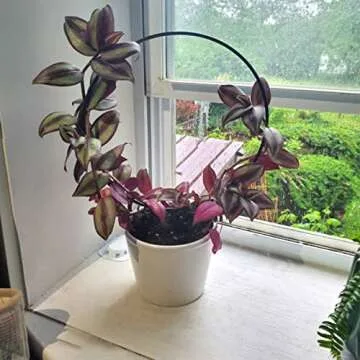 Levery 2 Pack Garden Trellis for Climbing Plants - Durable Support