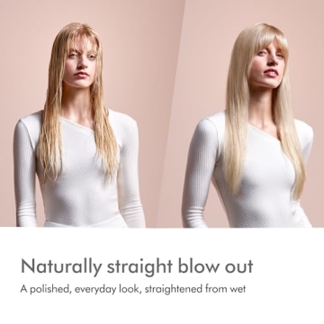 Dyson Airstrait™ Bundle