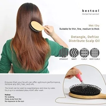 BESTOOL Hair Brush for Shiny, Healthy Hair for All Ages