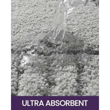 DEXI Bathroom Rug 16 x24, Non Slip Bath Mats for Floor, Ultra Soft and Absorbent Shower Rugs, Machine Washable Bathmat, Light Grey