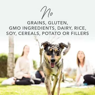 K9 Natural - Grain Free Freeze Dried Dog Food - Lamb, 1.1lb