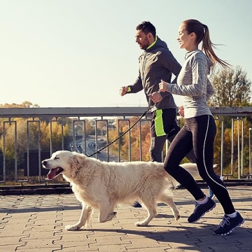 Reflective Grey Dog Leash with Padded Handle - 5 Ft