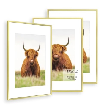 Golden State Art 16x24 Picture Frame Set of 3 - Elegant Gold Thin Border Frames for Any Decor