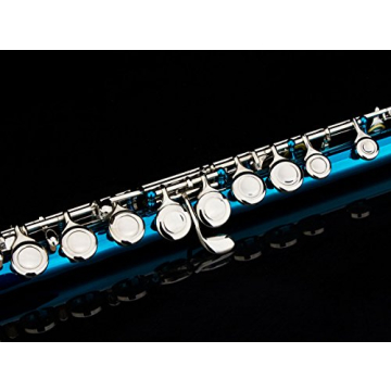 Affordable Glory Closed Hole C Flute with Accessories in Sea Blue