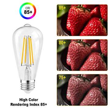 Vintage Dimmable 60 Watt Edison Light Bulbs Pack of 6