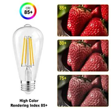 Vintage Dimmable 60 Watt Edison Light Bulbs Pack of 6