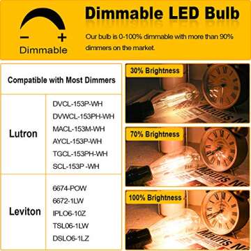 Vintage Dimmable 60 Watt Edison Light Bulbs Pack of 6
