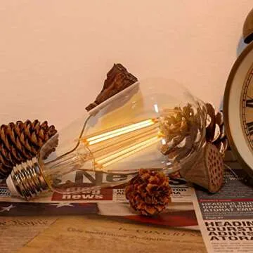 Vintage Dimmable 60 Watt Edison Light Bulbs Pack of 6