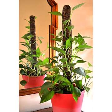 Mosser Lee ML1010H Totem Pole Plant Support, 24",Brown