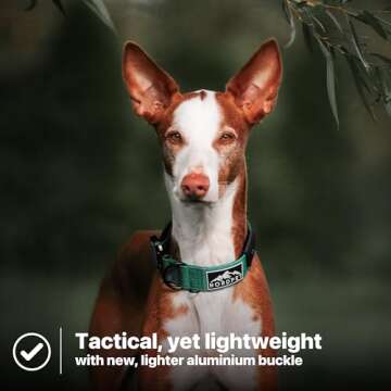 NordPet Premium Lightweight Airtag Dog Collar - Durable Nylon, Soft Padding, Heavy Duty Quick Release Buckle | Dog Collars for Medium Dogs & Large Dogs | Air Tag Dog Collar (Size 2, Emerald)