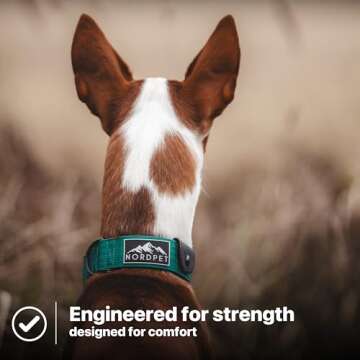 NordPet Premium Lightweight Airtag Dog Collar - Durable Nylon, Soft Padding, Heavy Duty Quick Release Buckle | Dog Collars for Medium Dogs & Large Dogs | Air Tag Dog Collar (Size 2, Emerald)