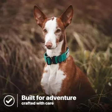 NordPet Premium Lightweight Airtag Dog Collar - Durable Nylon, Soft Padding, Heavy Duty Quick Release Buckle | Dog Collars for Medium Dogs & Large Dogs | Air Tag Dog Collar (Size 2, Emerald)