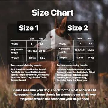 NordPet Premium Lightweight Airtag Dog Collar - Durable Nylon, Soft Padding, Heavy Duty Quick Release Buckle | Dog Collars for Medium Dogs & Large Dogs | Air Tag Dog Collar (Size 2, Emerald)