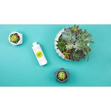 Premium Succulent Fertilizer for Indoor Plants - Aquatic Arts