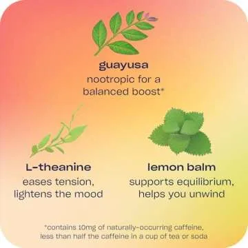 Recess Craft Mocktails - Alcohol Free Delightful Drinks