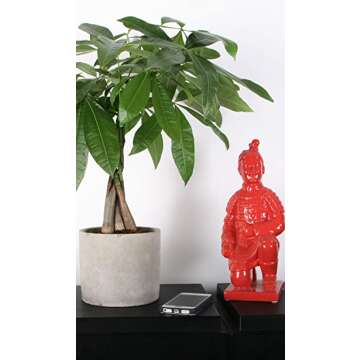 Costa Farms Pachira 16-Inch Indoor Plant