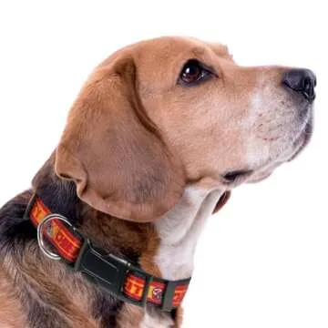 Kansas City Chiefs Pet Collar by Pets First - Durable & Stylish