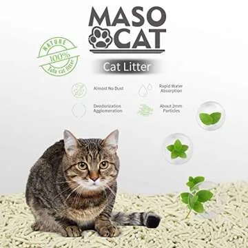 Sfozstra Open Litter Box,Prevent Sand Leakage, Durable High Side Sifting Litter Box for Small Cats,Secure and Odor Litter Box, Removable Litter Box, Easy to Clean (Pink with Litter M)