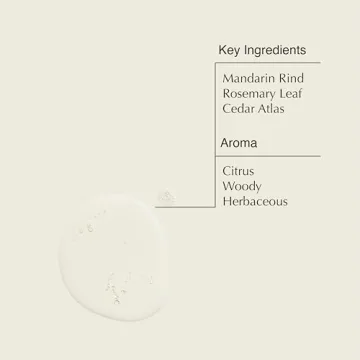 Luxurious Aesop Resurrection Hand Wash with Natural Oils